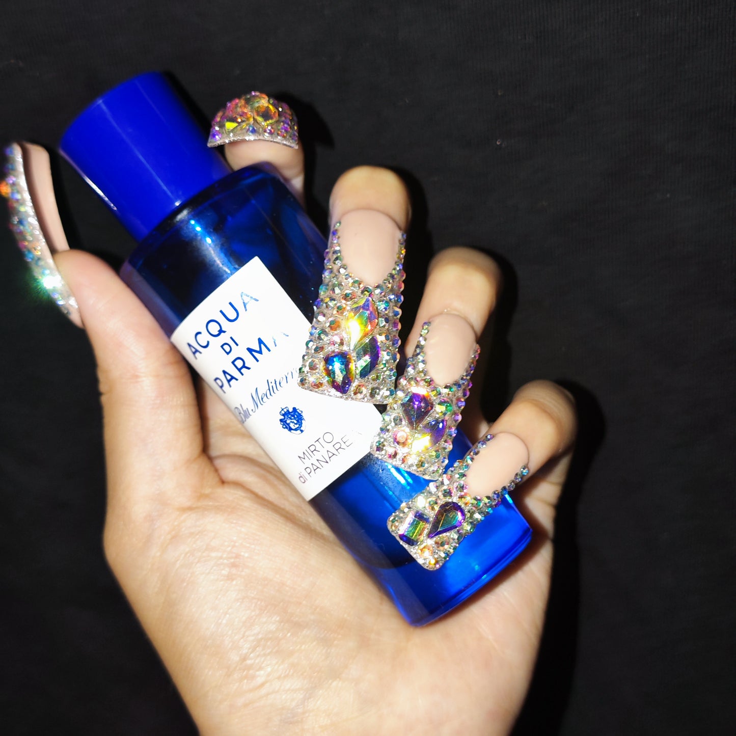 S310---gorgeous duck shape handmade customize acrylic press on nails---Missunails